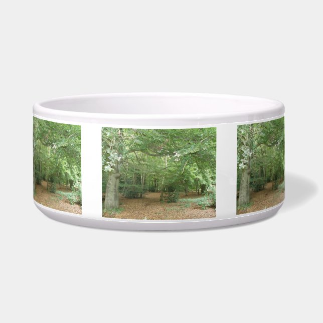 Écuelle Bois de défrichement du bol de chien (Devant)