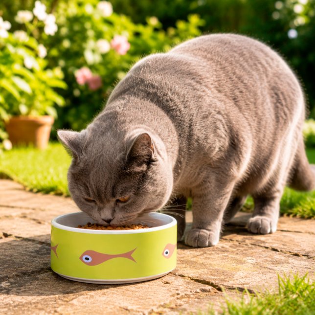 Écuelle Bol à nourriture pour animaux drôle Chat aux yeux  (Créateur téléchargé)
