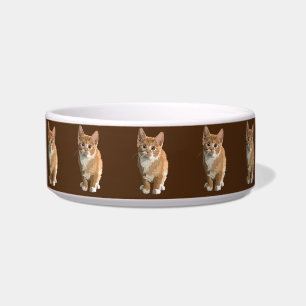 Écuelle bol alimentaire pour chaton miaou