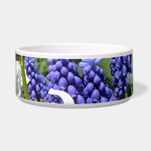 Écuelle Bol blanc Hyacinth N Muscari pourpre (animal de co
