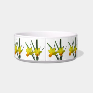 Écuelle Bol - Daffodique