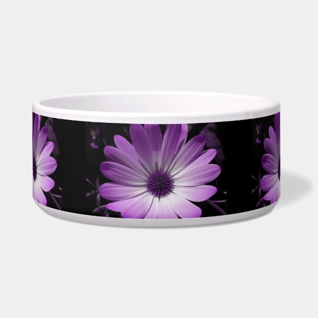Écuelle Bol de chien à fleurs pourpre (Devant)
