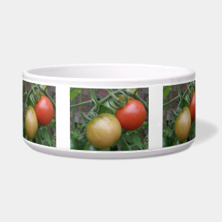 Écuelle Bol de chien aux tomates orange et rouge