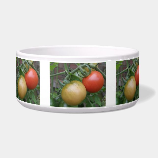 Écuelle Bol de chien aux tomates orange et rouge (Devant)