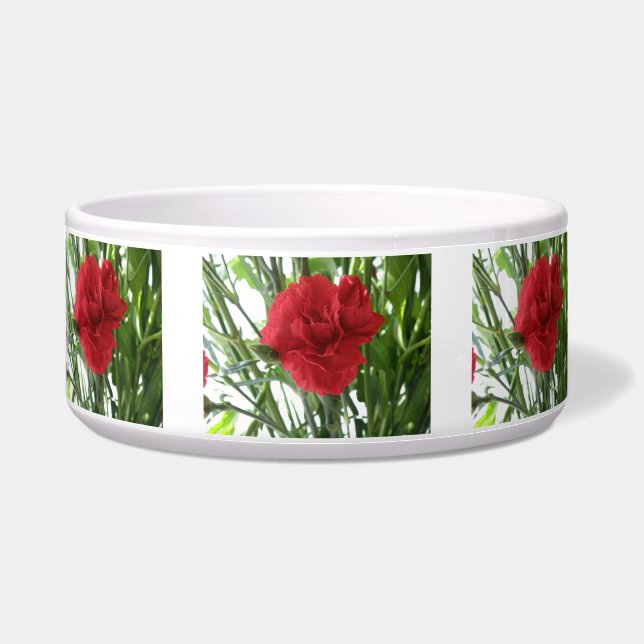 Écuelle Bol de chien de la Carnation rouge (Devant)