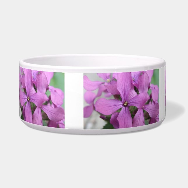 Écuelle Bol de chien Fleur sauvage pourpre (Gauche)