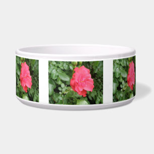 Écuelle Bol de chien Rose sauvage