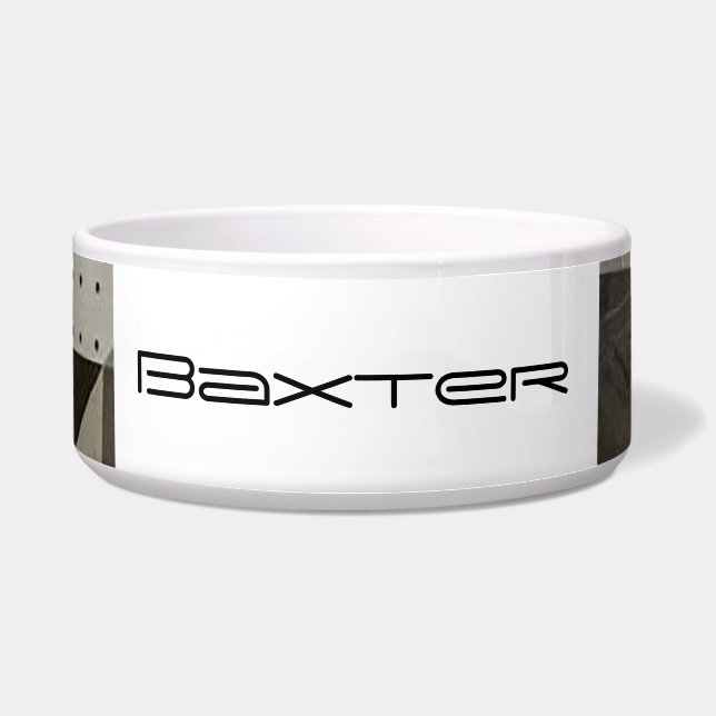 Écuelle Bol de chien tricouleur géométrique personnalisé (Devant)