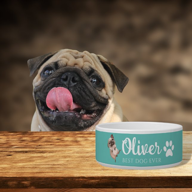 Écuelle Bol en céramique pour chien Pug (Créateur téléchargé)