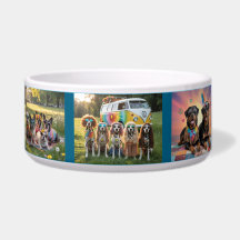 Bol hippie pour chien
