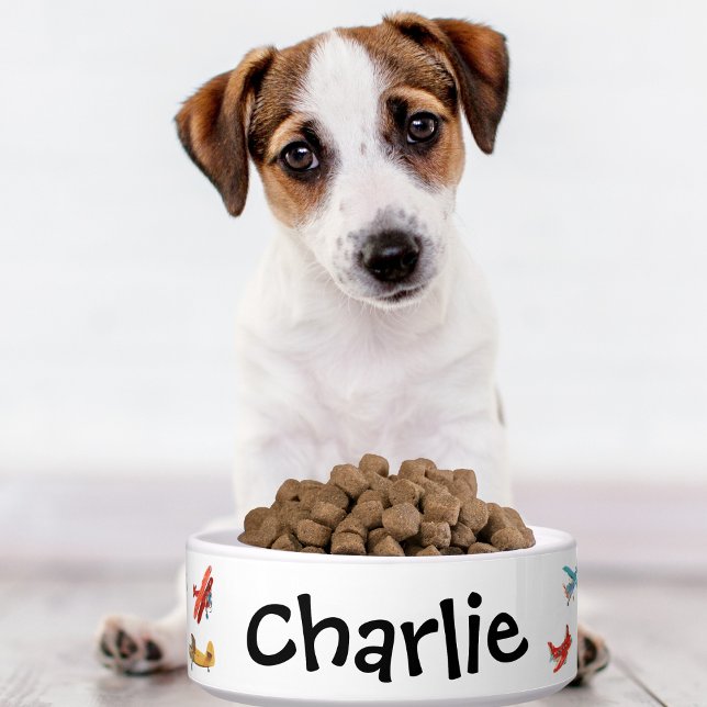 Écuelle Bol personnalisé avec nom de chien ou chat, avion  (Créateur téléchargé)