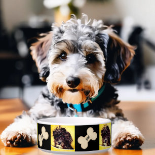 Écuelle Bol personnalisé pour chien moyen Schnoodle