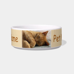 Écuelle Bol pour animal de compagnie de chats de gingembre