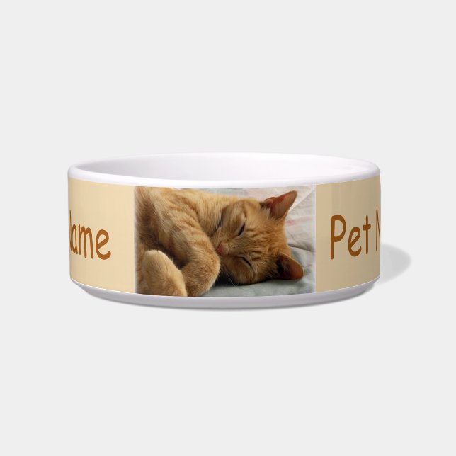 Écuelle Bol pour animal de compagnie de chats de gingembre (Devant)