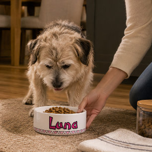 ÉCUELLE BOL POUR ANIMAUX 25 OZ. "LUNA" - CÉRAMIQUE PERSONN