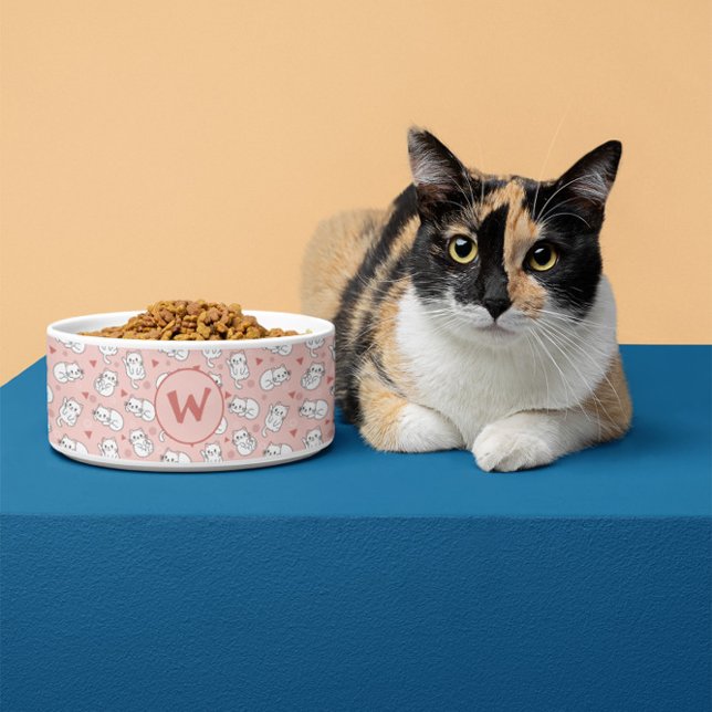 Écuelle Bol pour animaux à motif de chats mignons et ludiq (Créateur téléchargé)