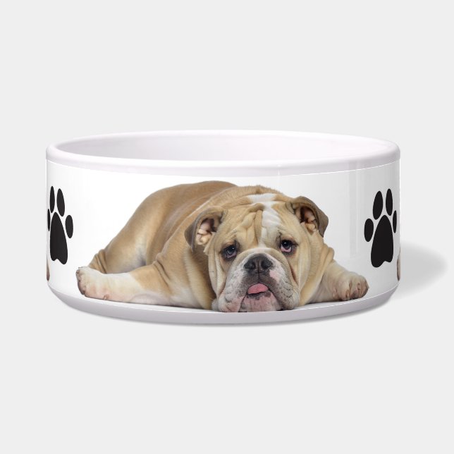 Écuelle Bol pour animaux de compagnie/chien taureau (Devant)