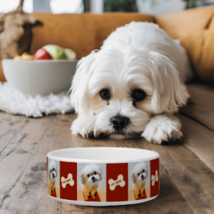 Écuelle Bol pour chien Malshi avec os marron