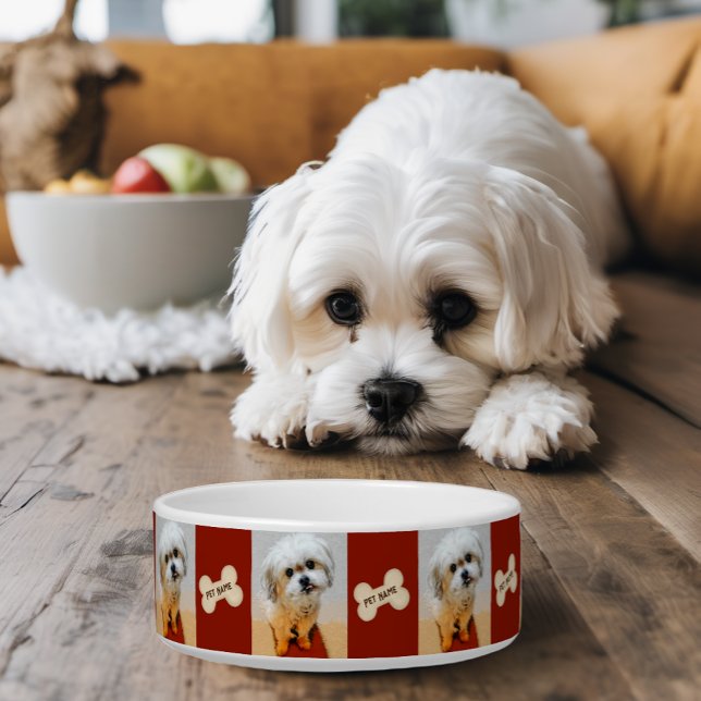 Écuelle Bol pour chien Malshi avec os marron (Doug bowl with images and personalized text.)