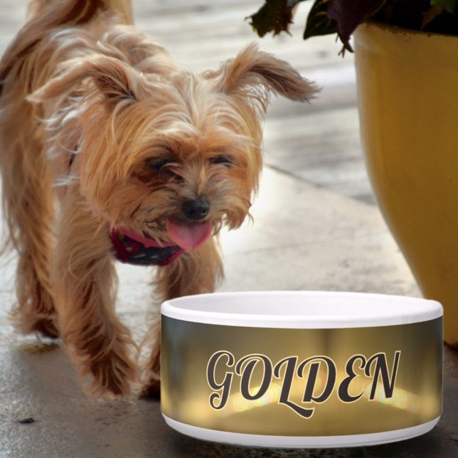 Écuelle Bol Refracté Doré pour Chien (Créateur téléchargé)