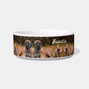 Écuelle Bouledogue français et Mastiff amis