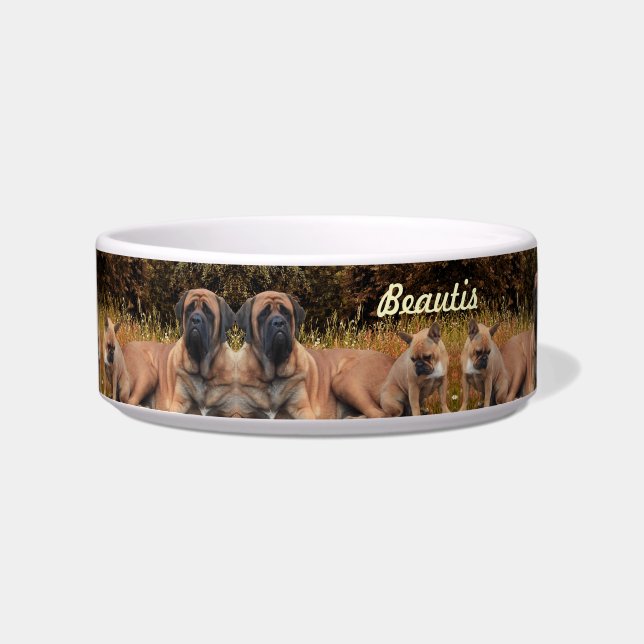 Écuelle Bouledogue français et Mastiff amis (Devant)