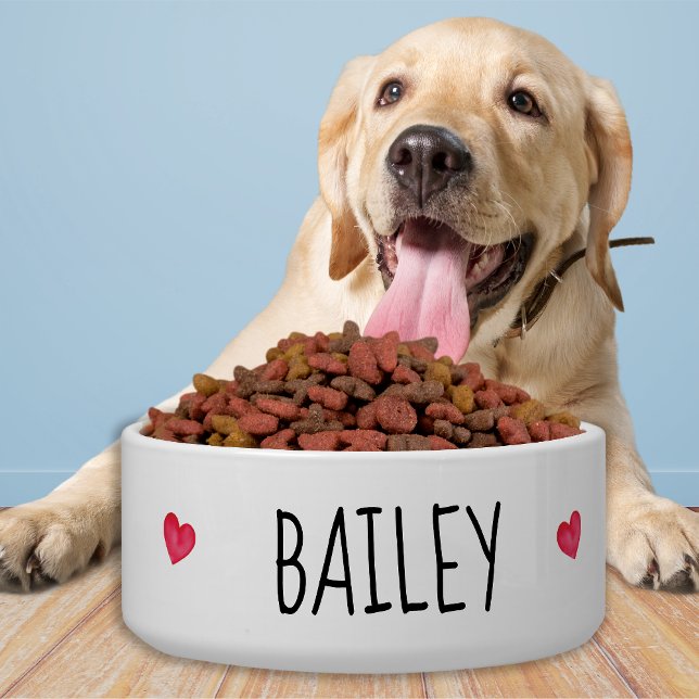 Écuelle Boules pour animaux de compagnie de chats de chien (Créateur téléchargé)
