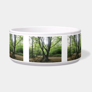Écuelle Bowl de chiens de soleil de Woodland