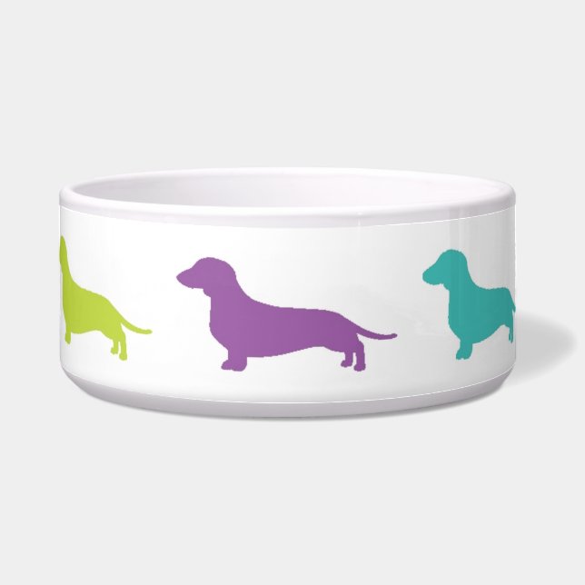 Écuelle Bowl de Rainbow Dachshund (Devant)