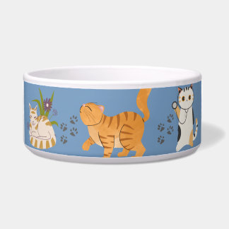 Écuelle "Bowl du Duo Purrfect" ?
