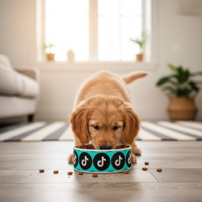 Écuelle Bowl TikTok (Créateur téléchargé)