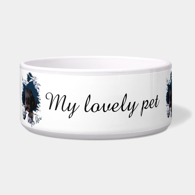 Écuelle Braque allemand à poil court,bandana drôle visage (Gauche)