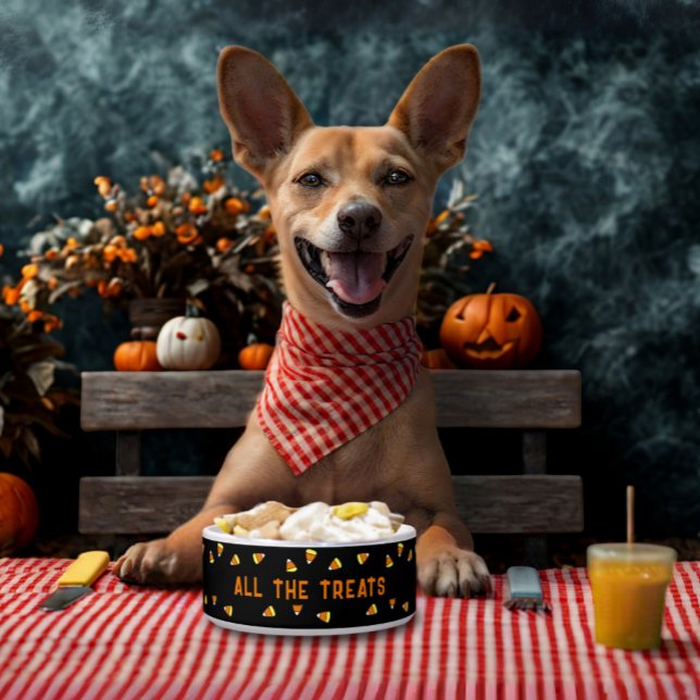 Écuelle Candy Corn Tous les traitements Halloween Chien Bo (A candy corn pattern food bowl for your pet. Let them join in the Howl-oween fun!)