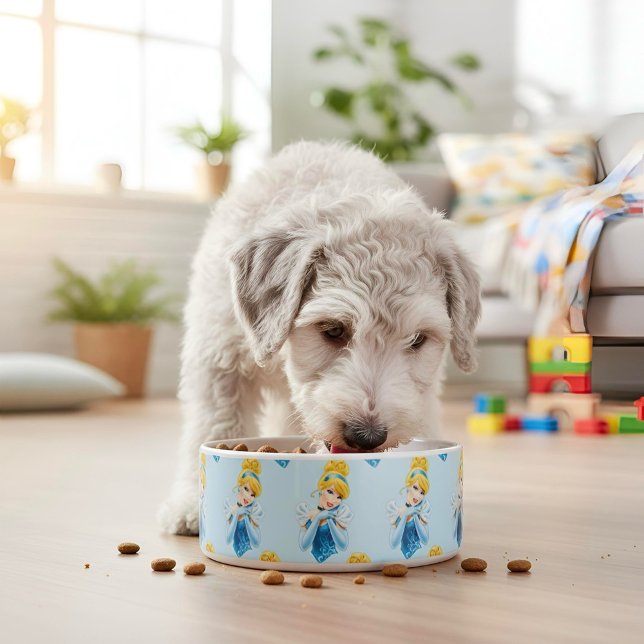 Écuelle Cendrillon (Créateur téléchargé)