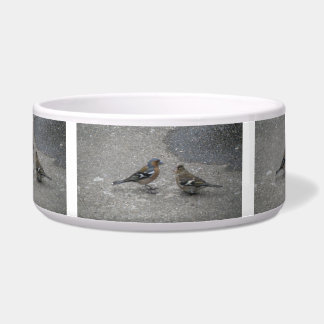 Écuelle Chaffinch Feed Me Chig Bowl