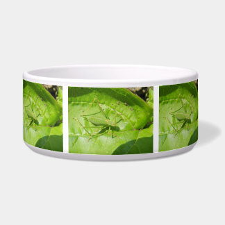 Écuelle Chamouflage de cricket vert Bowl de chien