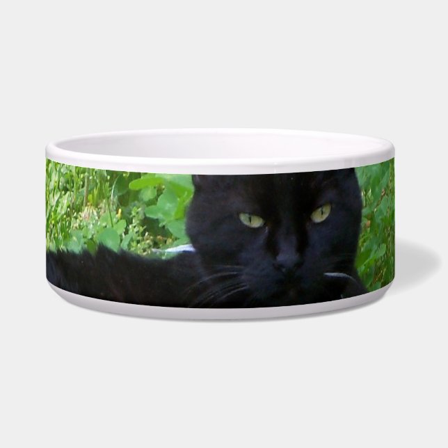 Écuelle Chat Bombay couché dans une assiette de nourriture (Devant)
