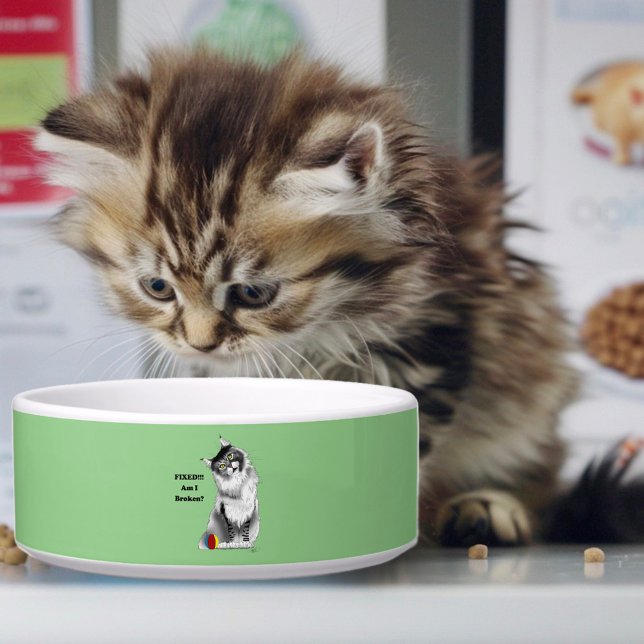 Écuelle Chat Maine Coon Drôle et Fluffy Humour Vert (Créateur téléchargé)