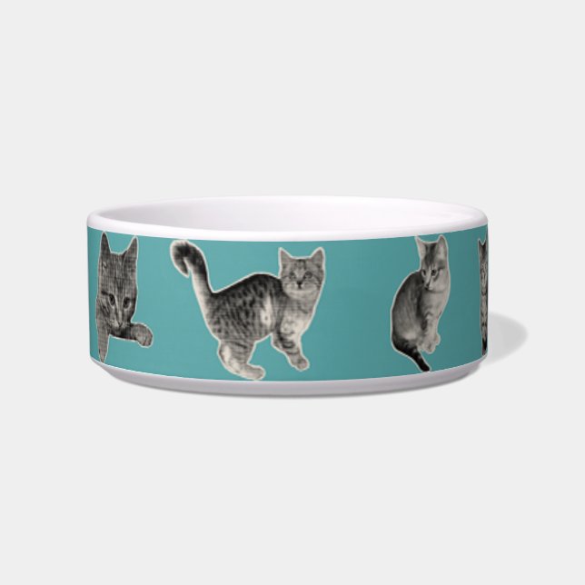 Écuelle Chat mignon et drôle  (Devant)