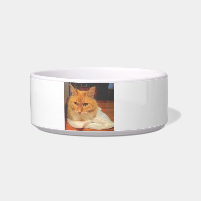 Écuelle Chat tigré orange (Gauche)