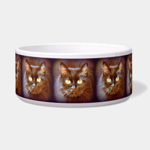 Écuelle chats noirs