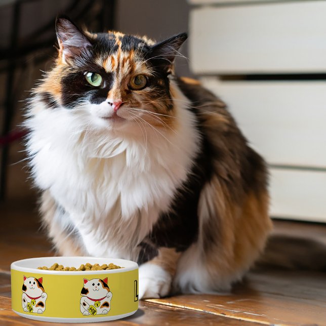Écuelle Chaud chat animal bol (Créateur téléchargé)