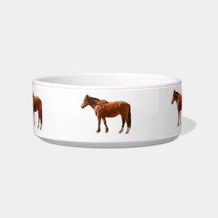 ÉCUELLE CHEVAL