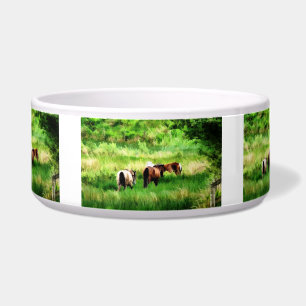 ÉCUELLE CHEVAUX