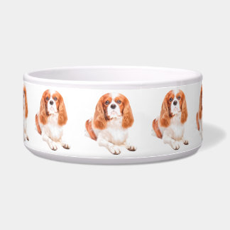 Écuelle Chien Cavalier King Charles Spaniel