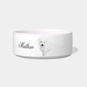 Écuelle Chien chiot maltais le plus mignon jamais