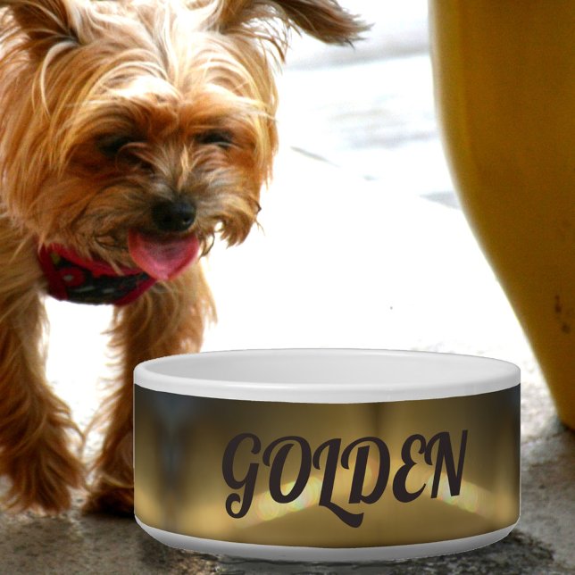 Écuelle Chien de compagnie à réfraction dorée (Créateur téléchargé)