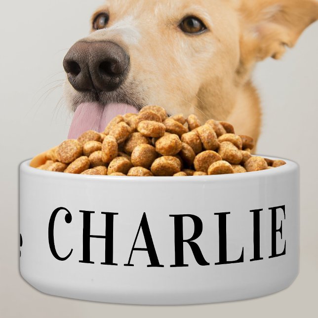 Écuelle Chien de compagnie classique Alimentation personna (Créateur téléchargé)