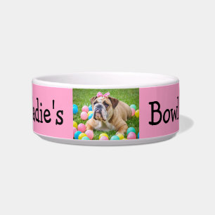 Écuelle Chien fait sur commande personnalisé de couleur d