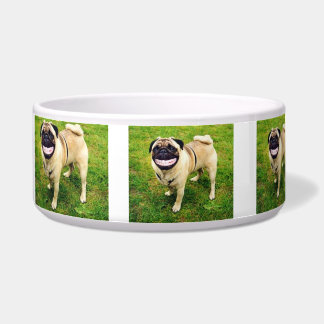 ÉCUELLE CHIEN HEUREUX DE SOURIRE HEUREUX DE MANGER MON BOL